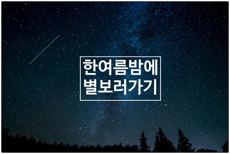  한여름밤에 별 보러가기 / 건강생활소식(25.07.22)