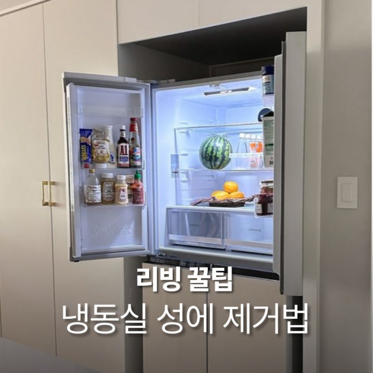  냉동실 성에 제거 방법 여름철 성에 없애는 꿀팁과 준비물