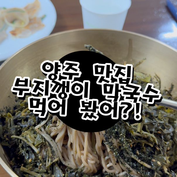  양주 맛집 막국수 1등은 무조건 용암리!