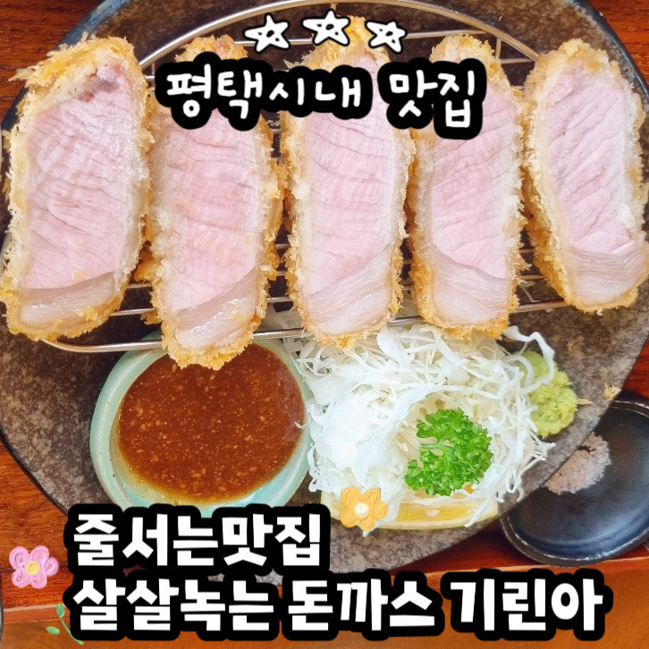  평택시내 맛집 줄 서는 돈까스 기린아