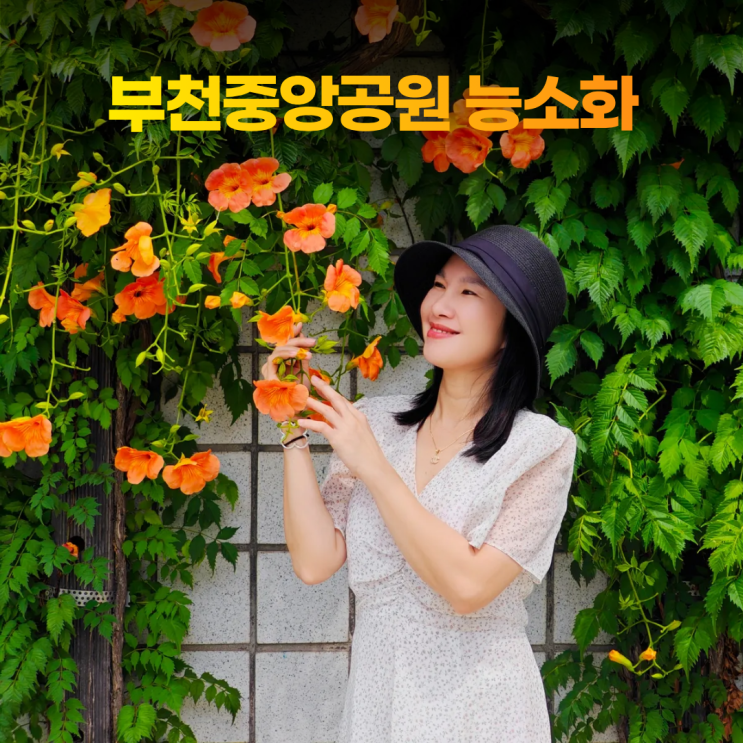  부천중앙공원 능소화 터널 수국 아기와 나들이