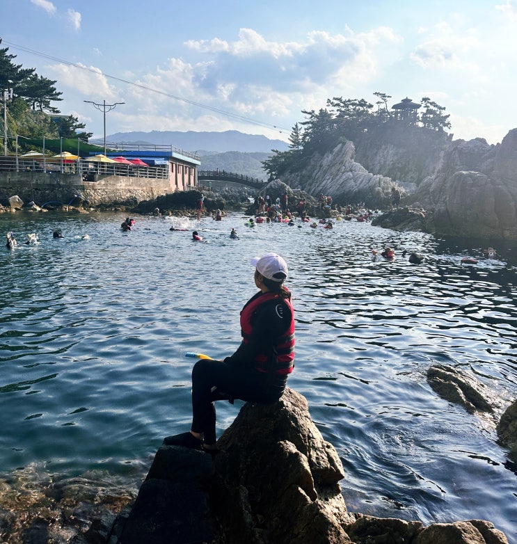  삼척 장호항 스노쿨링, 동해 묵호항 삼합 바다에