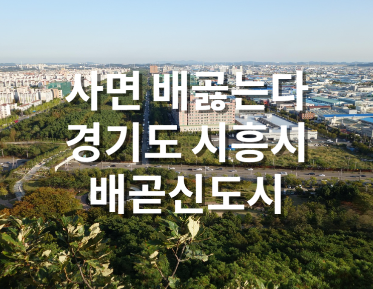  사면 배곯는다? 배곧신도시 근황