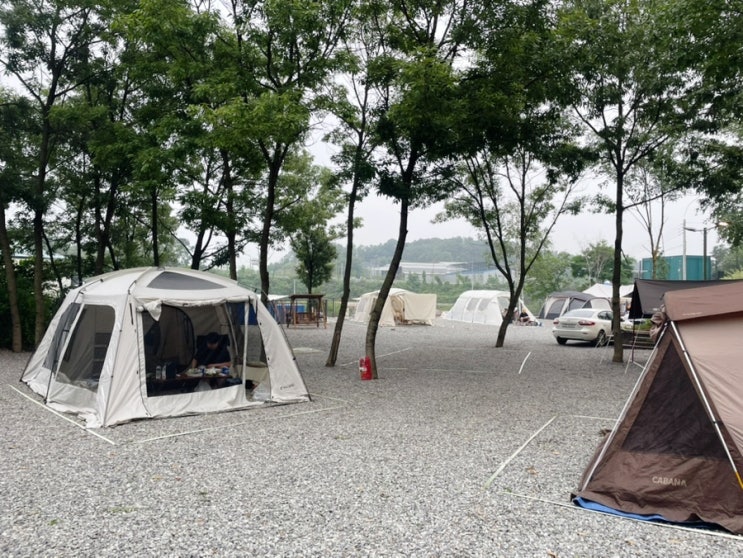  [경기 화성 캠핑장] "남양캠핑장" 후기: 친절하고, 깨끗한 신상 캠핑장 추천