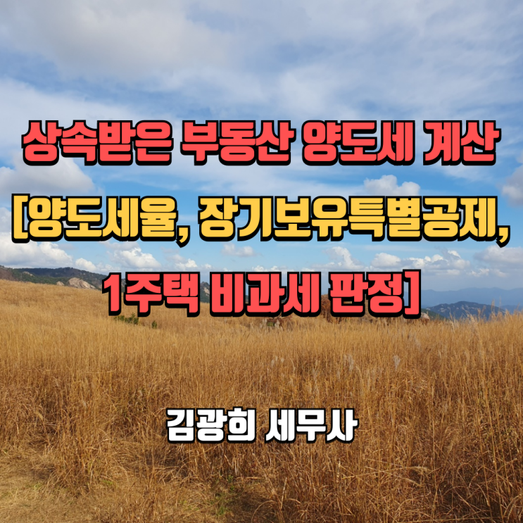  상속받은 부동산 양도세 계산[양도세율, 장기보유특별공제, 1주택 비과세 판정]