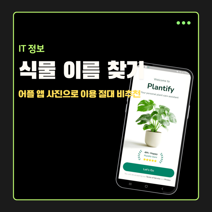  식물 이름 찾기 어플 앱 사진으로 이용 절대 비추천 후기