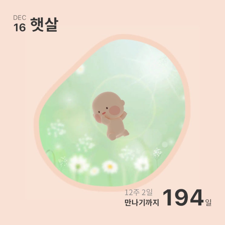  #임신일기- 임신 초기 12주 난임병원에서 분만병원으로 전원 (+ 미래아이산부인과)