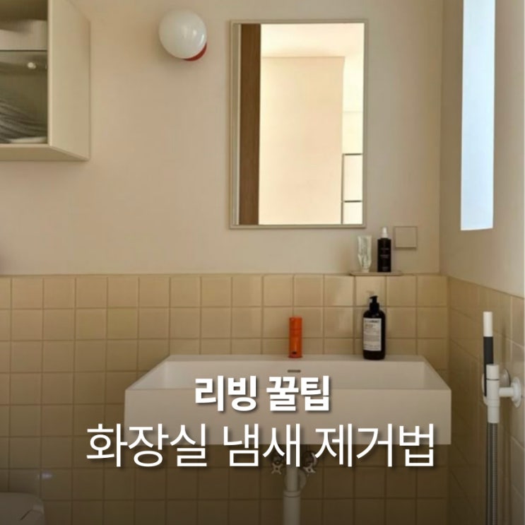  화장실 냄새 제거 하수구 날파리 두가지 재료로 확실히 없애는법