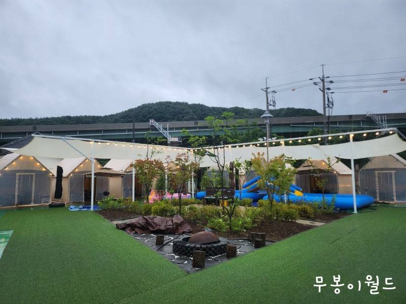 사진 6