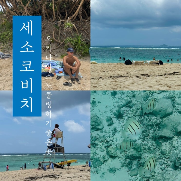 [ 세소코 비치 스노쿨링 ] 오키나와 셀프 스노쿨링 하기 좋은곳 스팟