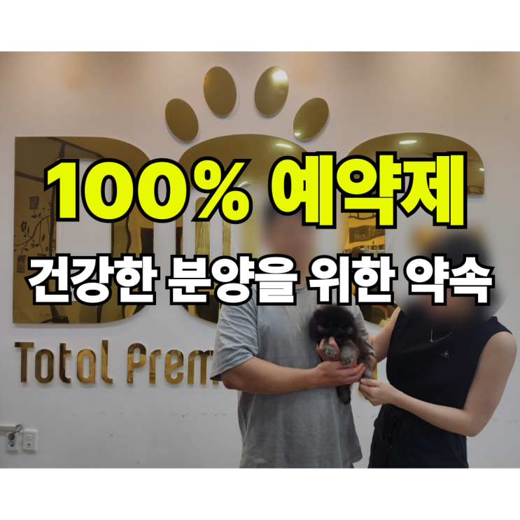  건강한 강아지를 분양 받고 싶다면? 100% 예약제 운영 세종 강아지분양 전문 원독 애견센터 블랙탄 포메라니안 분양 후기