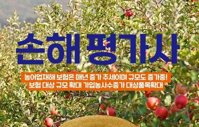 손해평가사( 농어업 재해 ) 한눈에 보기