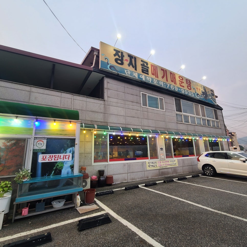 장지골메기매운탕 사진 2