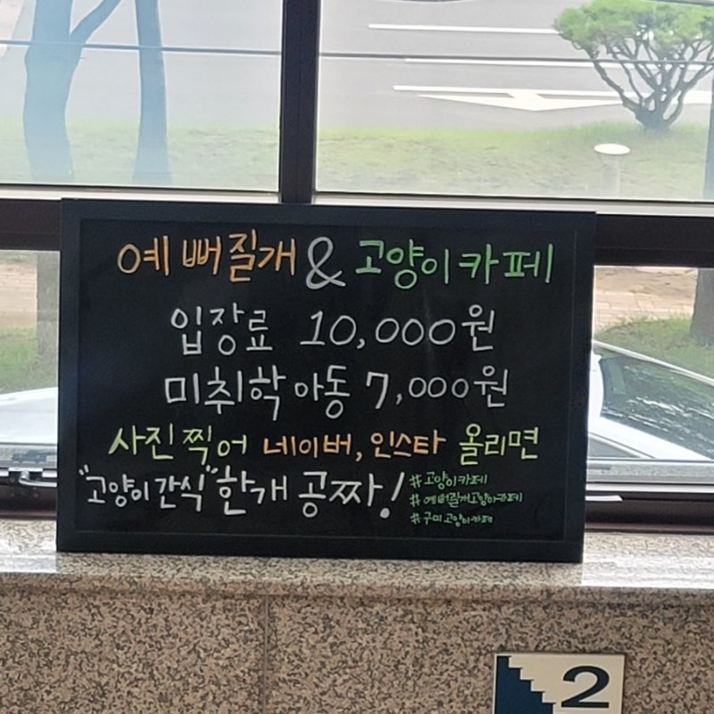 사진 3