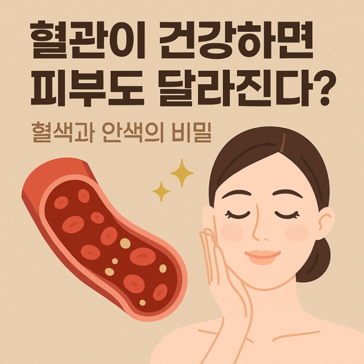  혈관이 건강하면 피부도 달라진다?