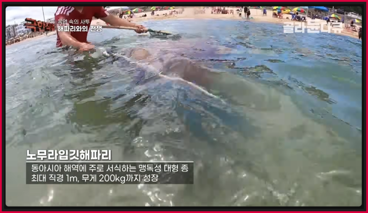 간추린 지역뉴스 제목뉴스 16시