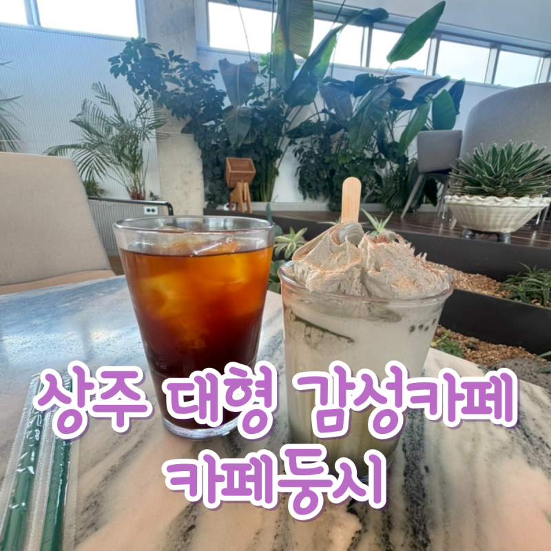 사진 5