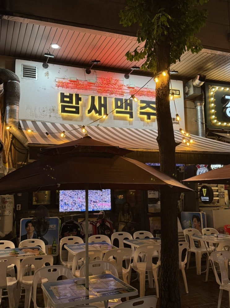  [일산/정발산역 술집] 언제 가도 친근한 밤새 맥주 일산 본점