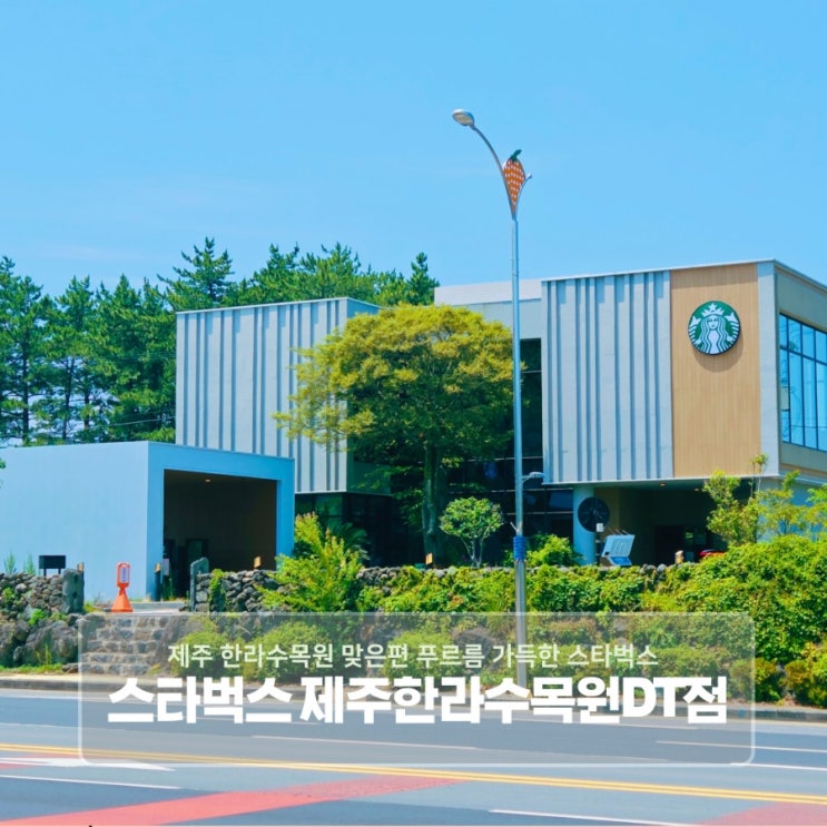  제주 한라수목원 맞은편 푸르름 가득한 스타벅스 제주한라수목원DT점