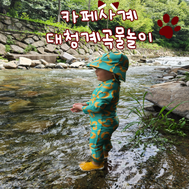  카페사계 재방문 내돈내산 후기(이제 사람들이 너무 많아요.일찍가세요.꼭!)
