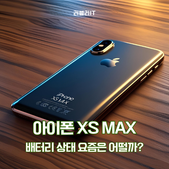 아이폰 XS MAX 크기 배터리 수명 교체 가능할까