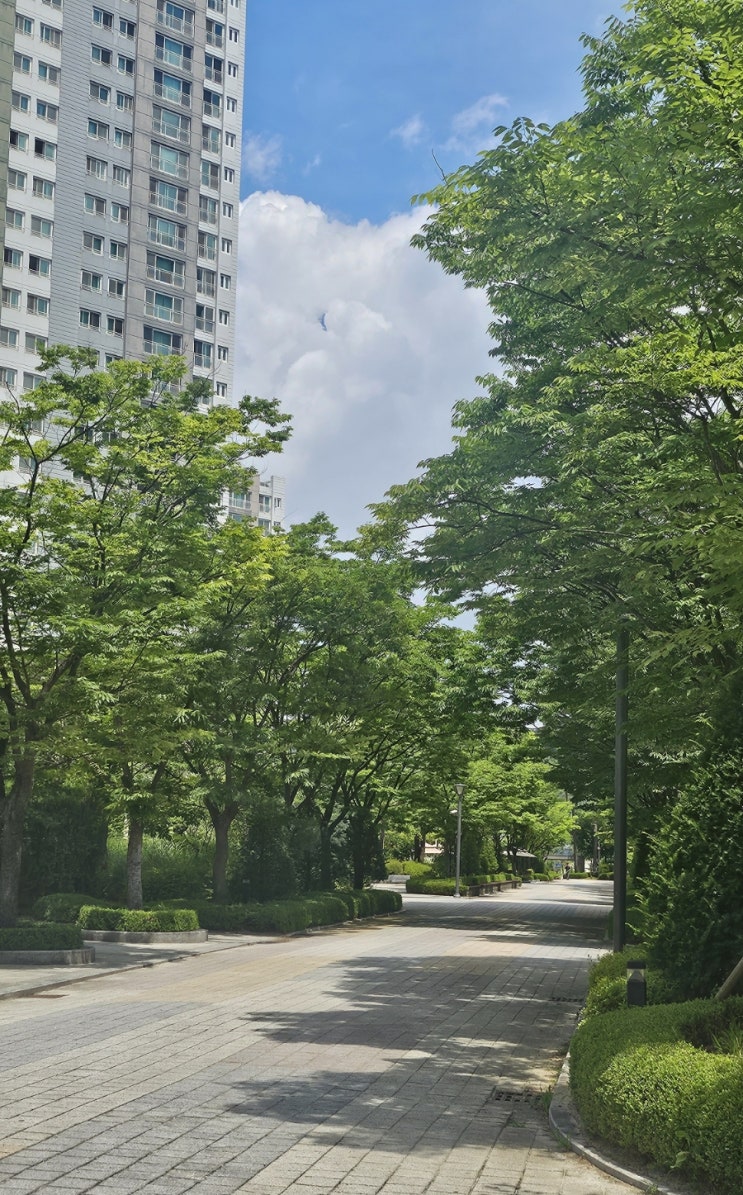  일상 | 7월, 여름이 끝나가는 어느날