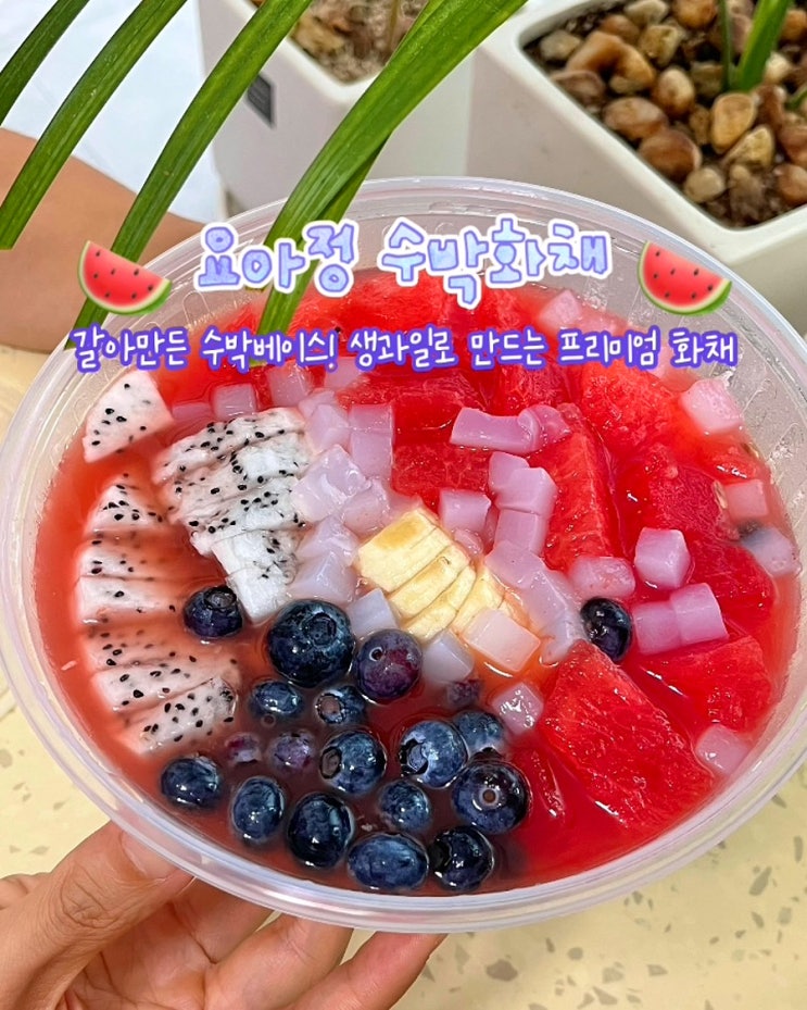  요아정 신메뉴 갈아만든 수박 화채의 정석 가격 부산 수박화채맛집 레이카운티 포장 후기