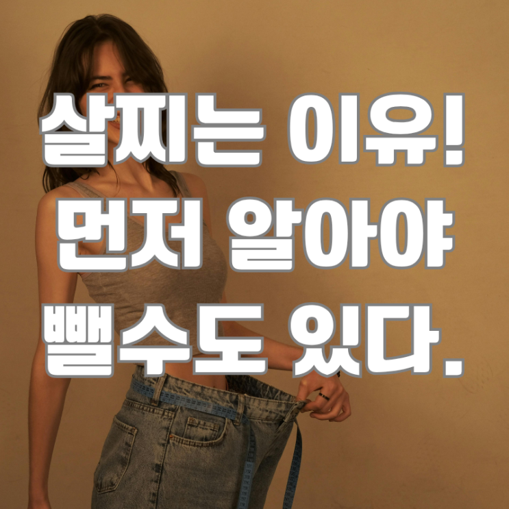  우리가 살찌는 이유, 우리 탓이 아니다. 살이 찔 수 밖에 없다.(리처드 존슨의 비만 이론)