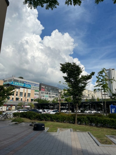 사진 5