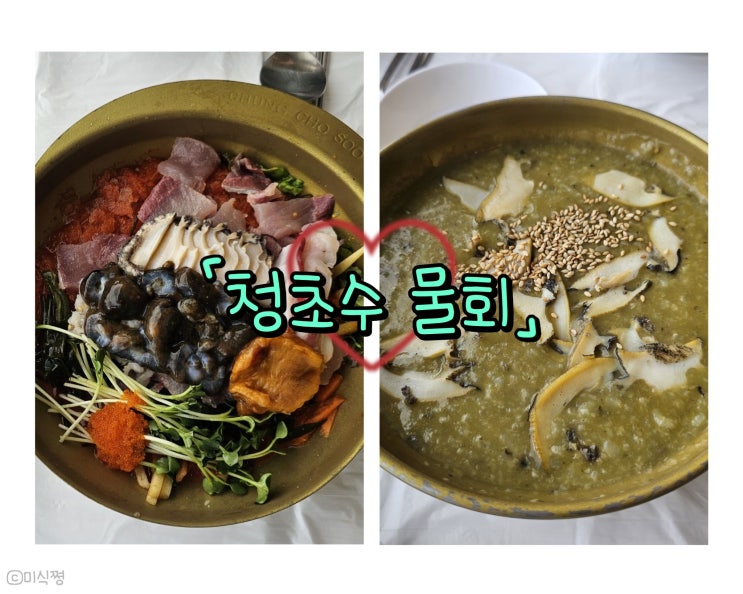  [ 속초 ] 물회 맛집으로 유명한 ' 청초수물회 속초 본점 '