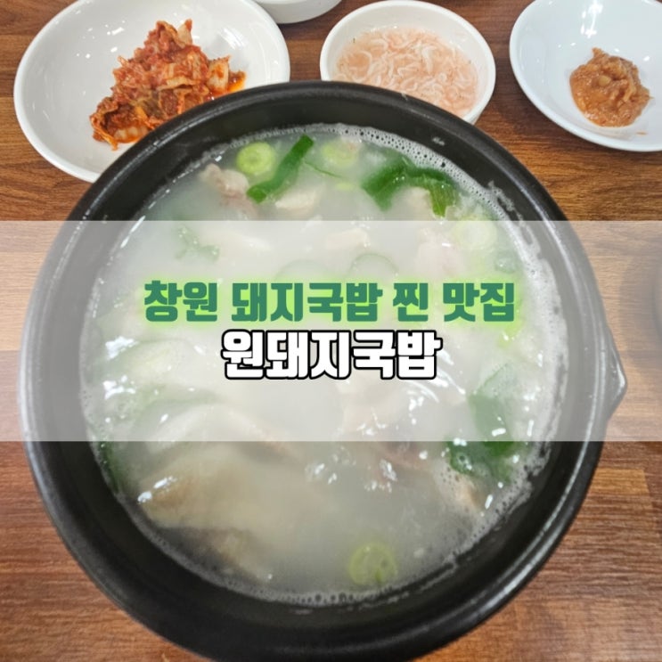  창원 상남동 원돼지국밥 | 돼지국밥 맛집 내돈내산 후기