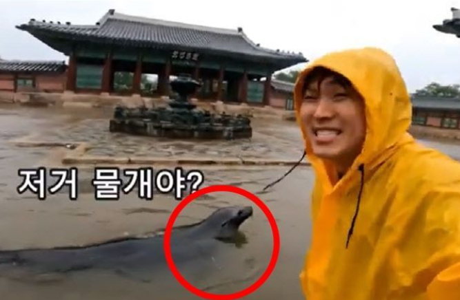  “경복궁에 물개 떴다구요?” 진짜보다 더 진짜 같은 ‘AI 가짜영상’, 어디까지 믿어야 할까?