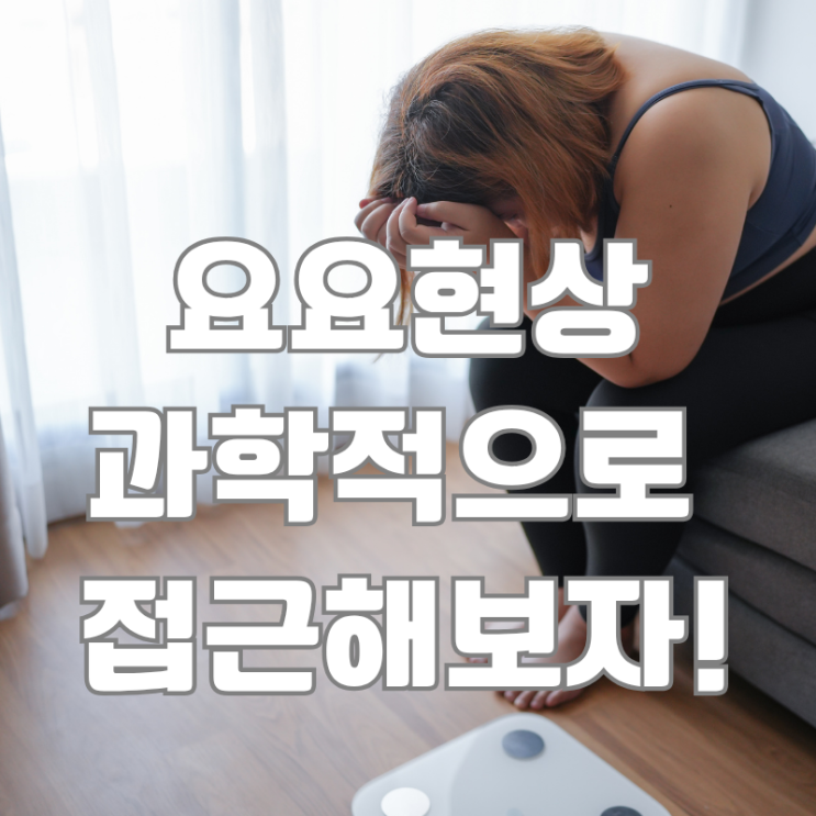  요요현상, 체지방 재축적의 비밀을 파헤치다. 극복방법까지!