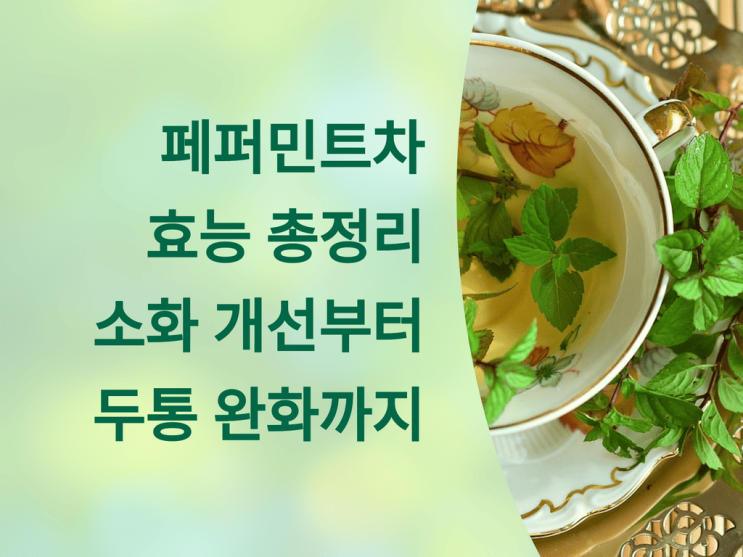  페퍼민트차 효능 총정리: 소화 개선부터 두통 완화까지