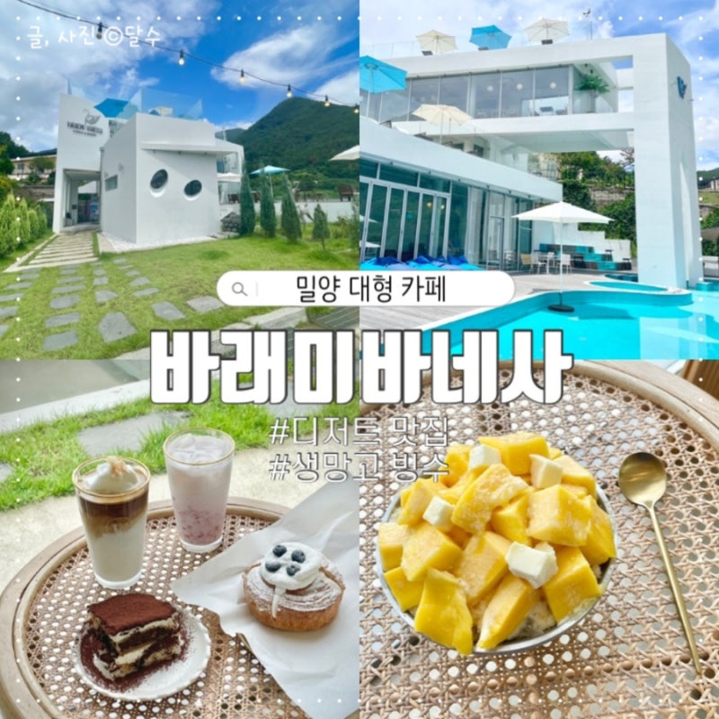 사진 5