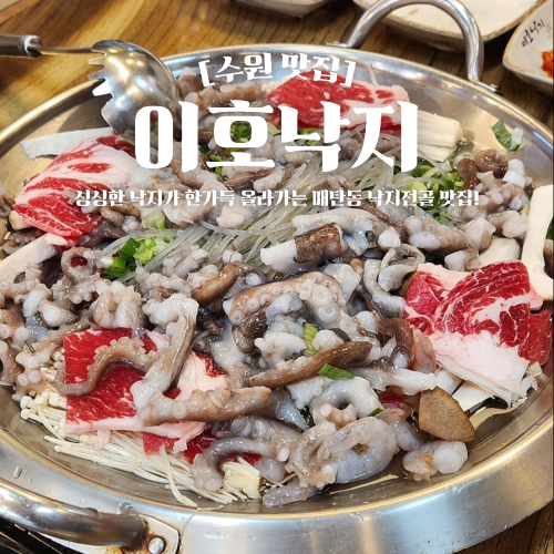  수원 매탄동 맛집 온수골 이호낙지 본점 점심 술안주로 좋은 곳