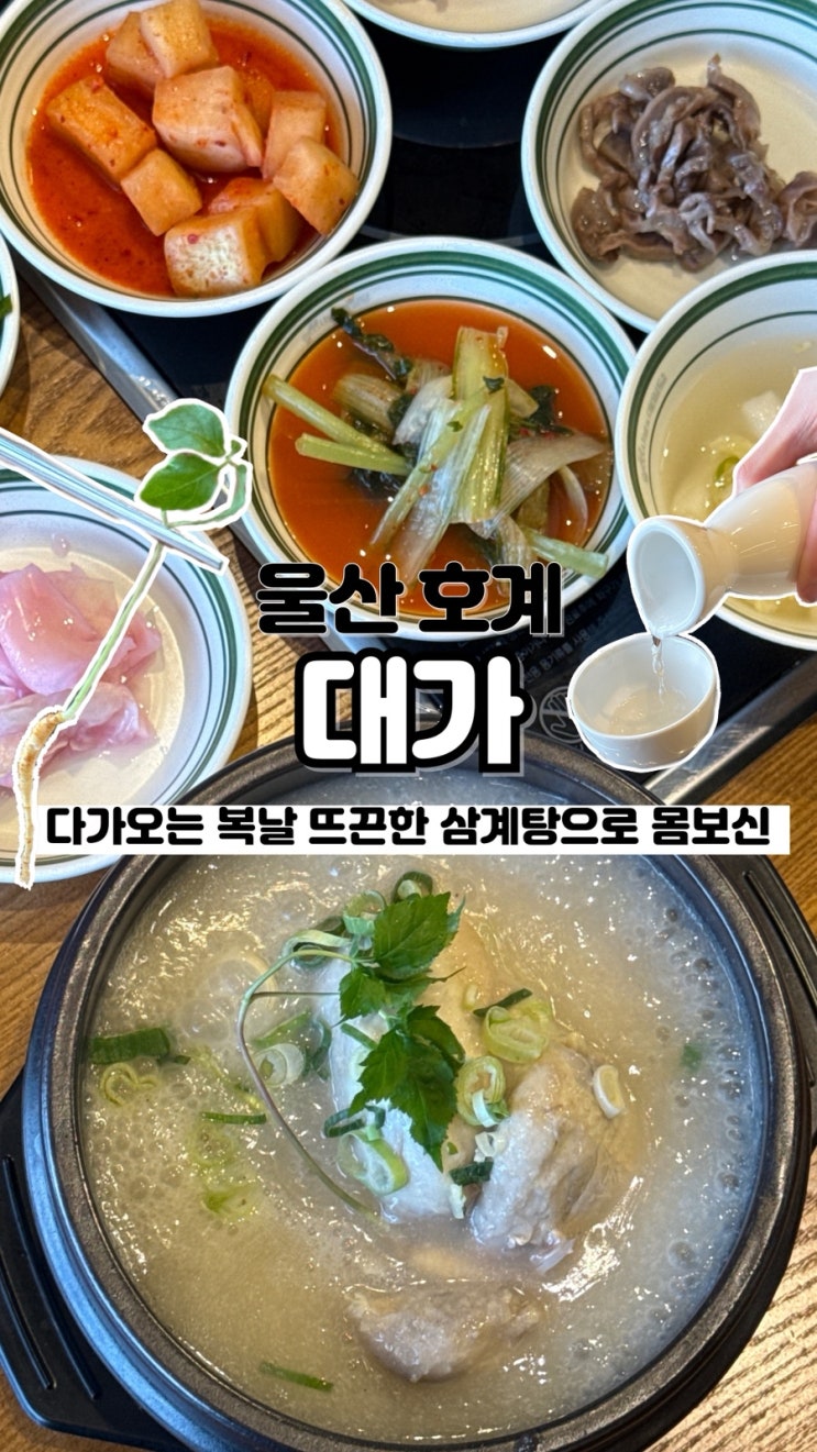  다가오는 복날 뚝배기 한 그릇으로 몸보신 완료 울산삼계탕 맛집 대가