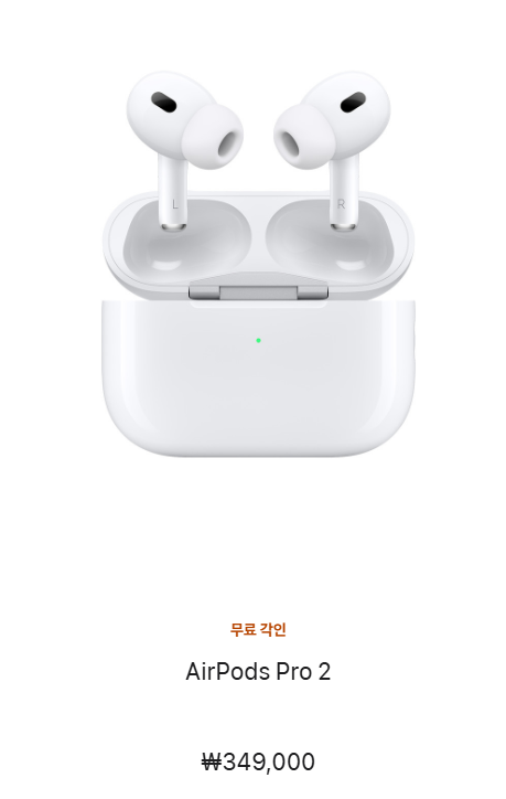 에어팟 프로 1세대 이어폰 유닛 왼쪽 오른쪽 지지직 거리는 현상 임시 셀프 조치 임시방편