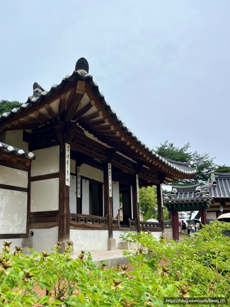  강릉 당일치기 코스 추천 오죽헌 혼자 여행