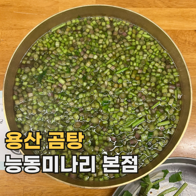  용산 능동미나리 본점 웨이팅 상당한 서울 곰탕
