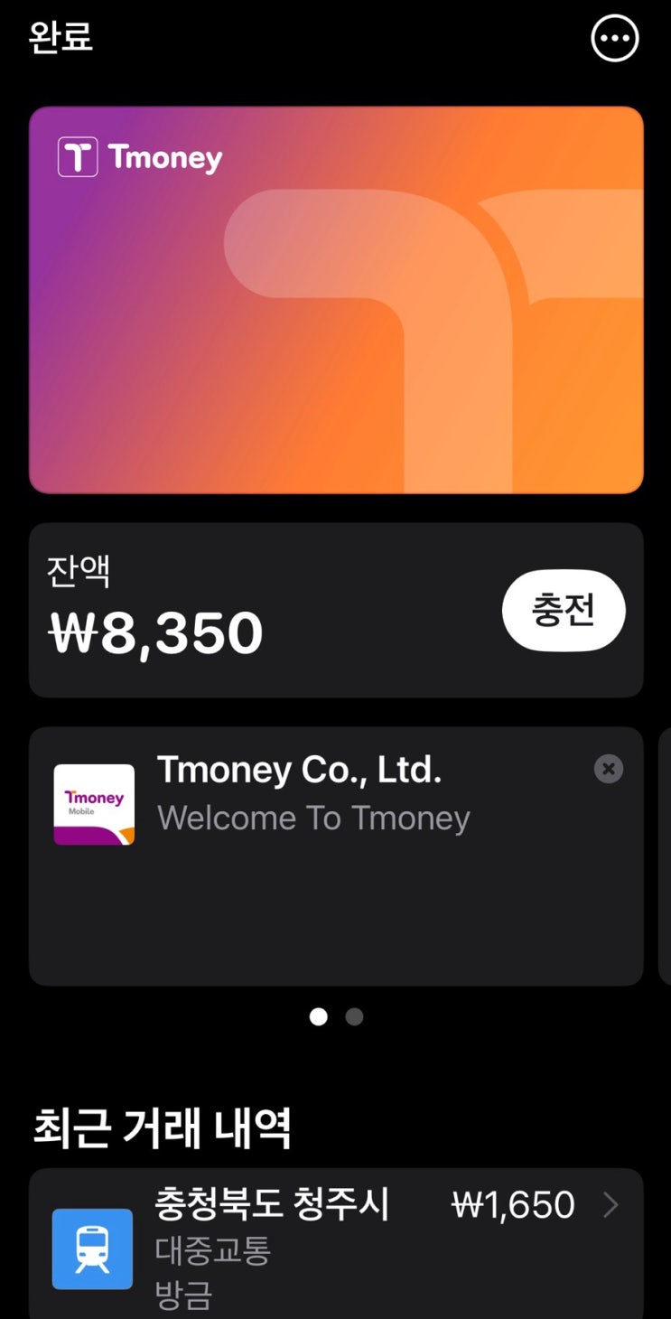  애플페이(지갑앱) T Money 추가로 아이폰도 버스 이용 가능? 가능합니다. 직접 사용해봄. (현재 애플페이 현대카드 충전 가능, 계좌 충전도 가능)