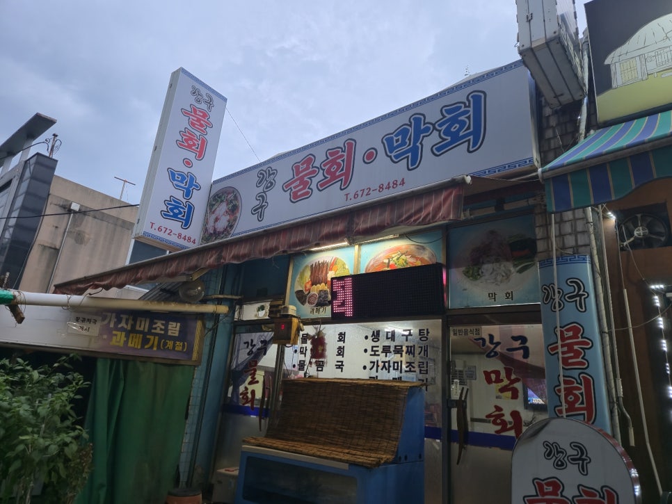 강구물회막회 사진 1