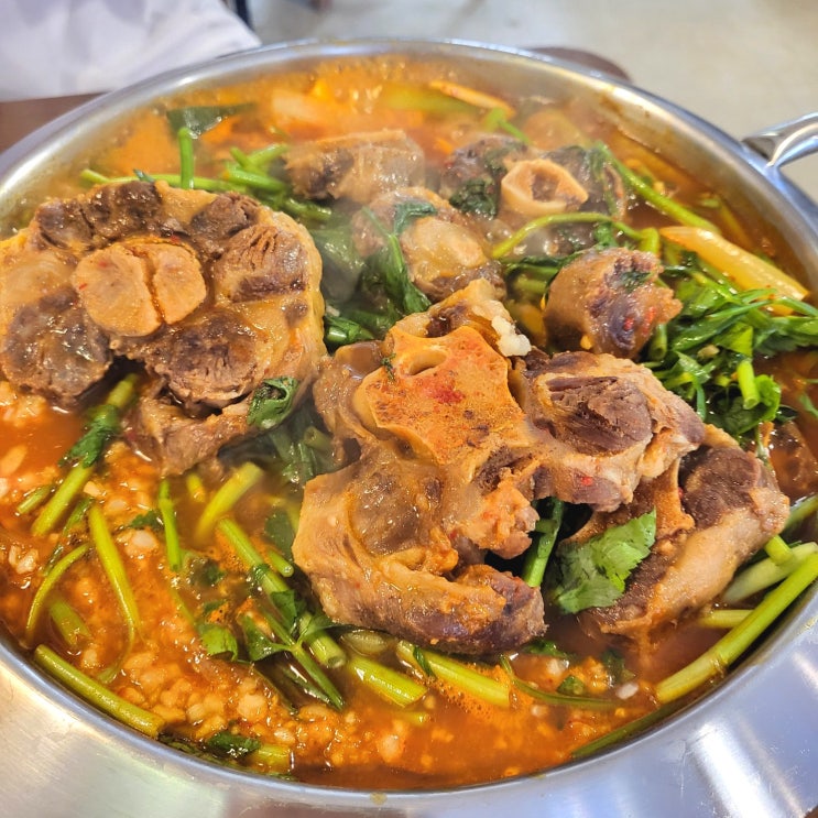  위례한식 찐맛집 평양냉면과 꼬리찜이 일품인 우봉집