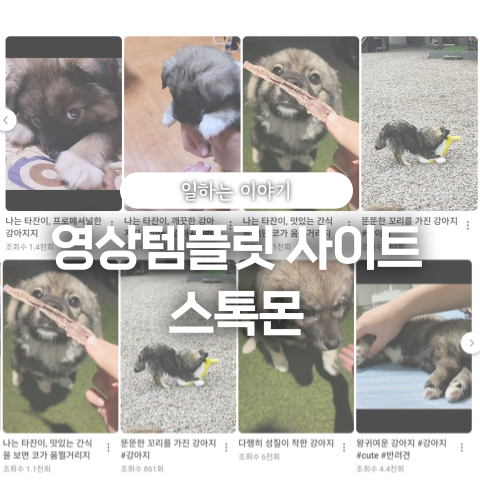  영상제작 스톡몬 영상템플릿 사용후기