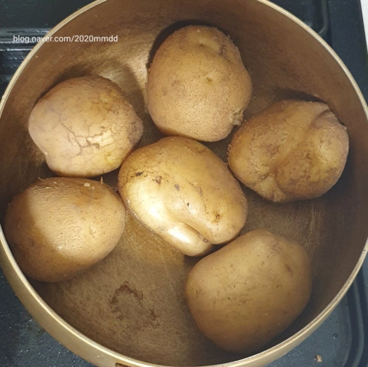 감자 삶는법 감자 삶기 찌기 감자 요리 똥손도 가능한 감자 삶는방법