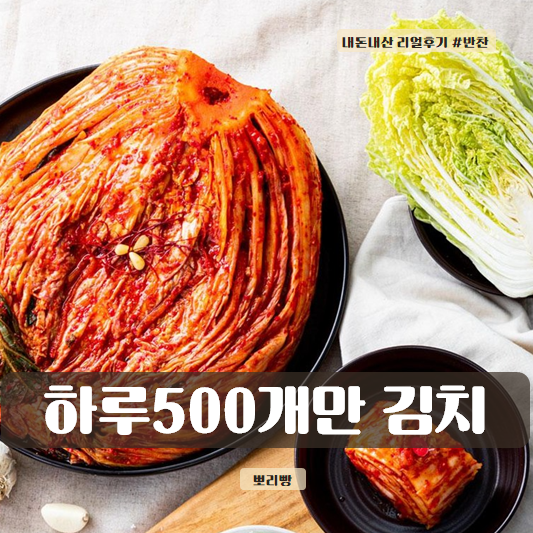  김치 주문 - 욕심내지 않겠습니다 하루 500개만 김치가 맛있어요!