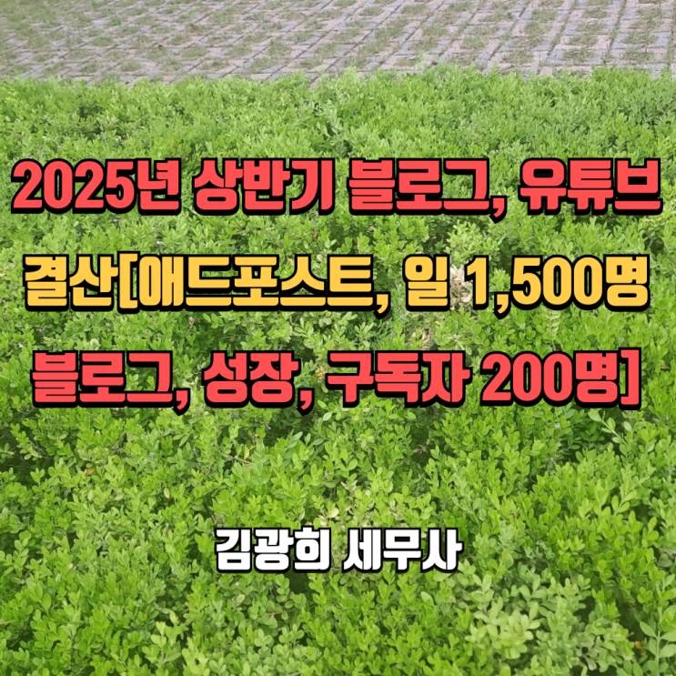  2025년 상반기 블로그, 유튜브 결산[애드포스트, 일 1,500명 블로그, 성장, 구독자 200명]