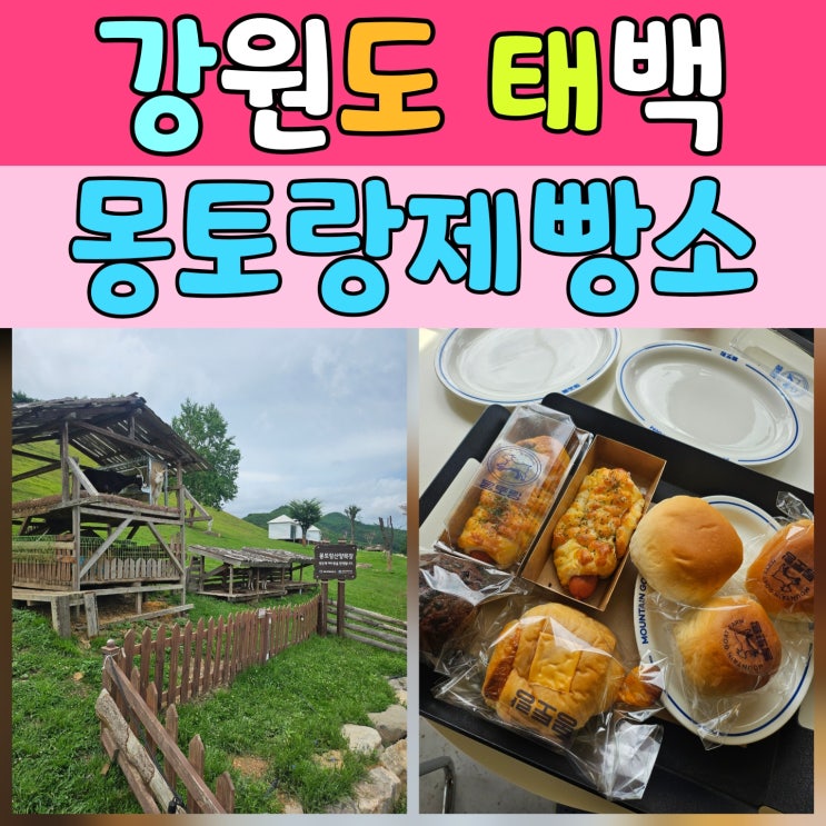  태백카페 추천, 몽토랑산양목장&몽토랑제빵소에서 만난 풍경 맛집