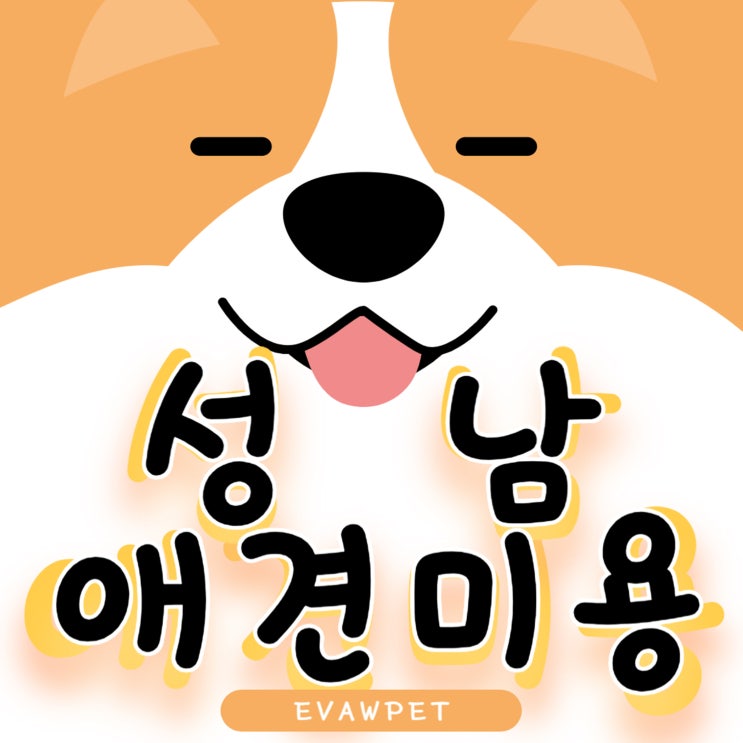  성남애견미용학원 선택이 중요한 이유 및 실전 커리어 로드맵