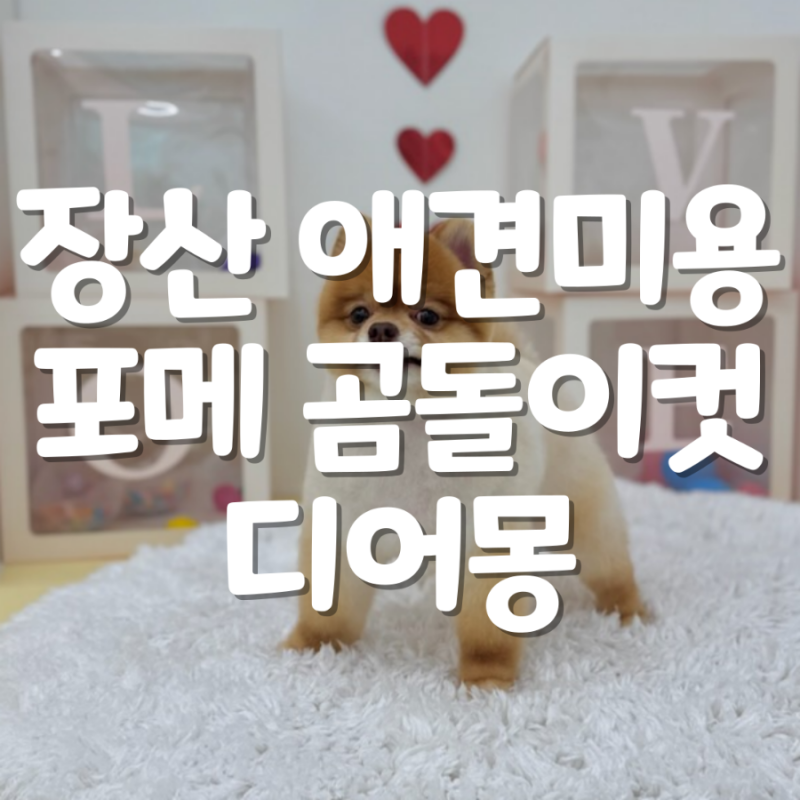 사진 2